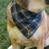 Yellowstone Y Logo Plaid Doggie Flandana